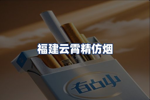 福建云霄精仿烟